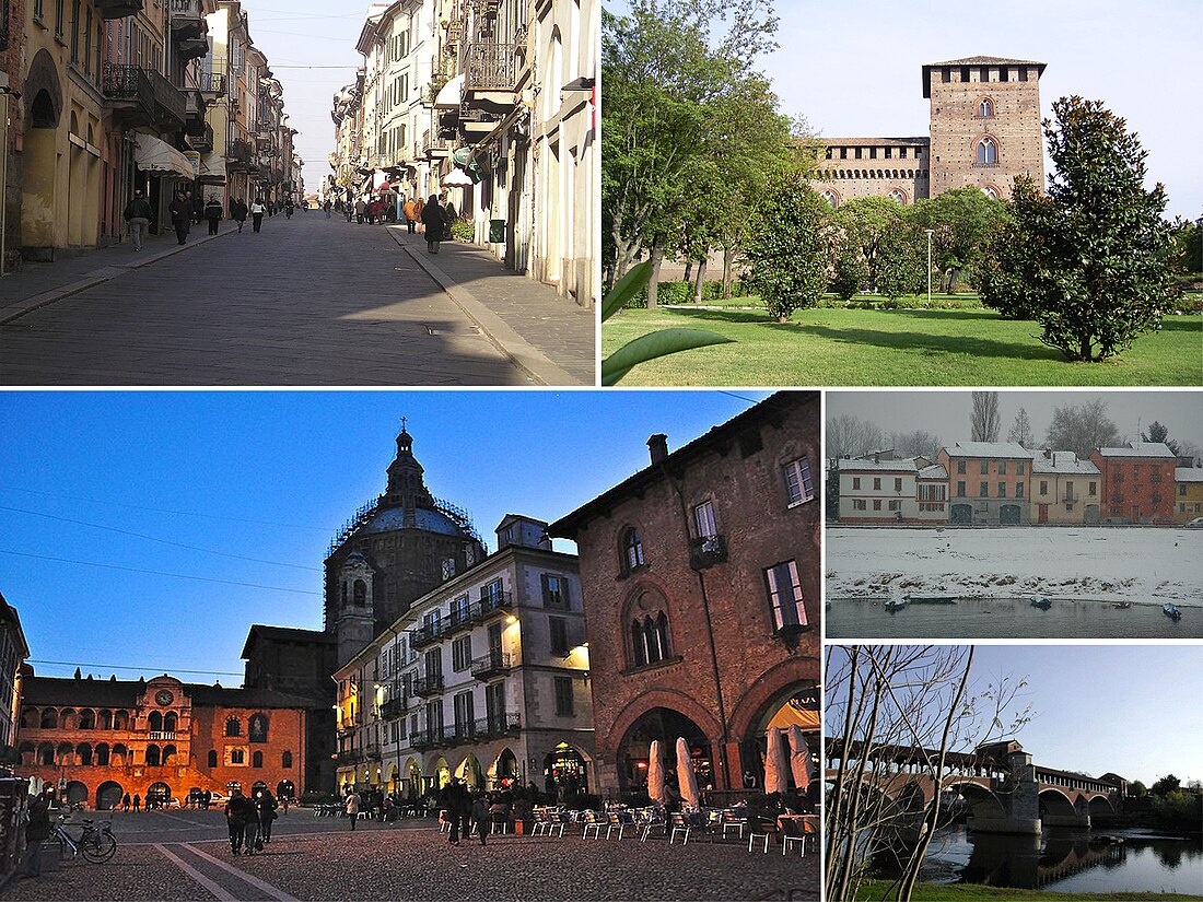 Pavia