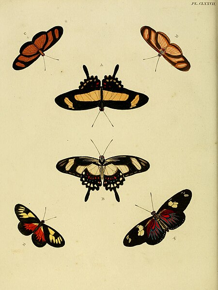 Tập_tin:CramerAndStoll-uitlandsche_kapellen_vol._2-_plate_177.jpg