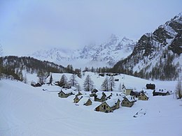 Crampiolo a fine inverno