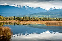 Cranberry Marsh/Starratt WMA, located just south of Valemount Cranberry Marsh, British Columbia.jpg