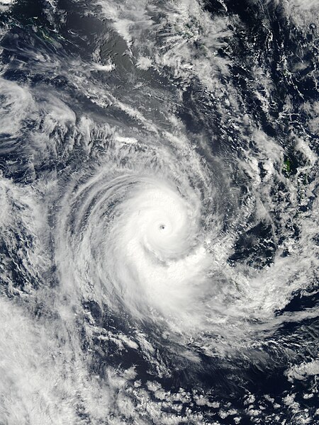 File:Cyclone Erica 13 mar 2003 0255Z.jpg