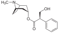 Deutsch: Struktur von D-Hyoscyamin English: Structure of D-Hyoscyamine
