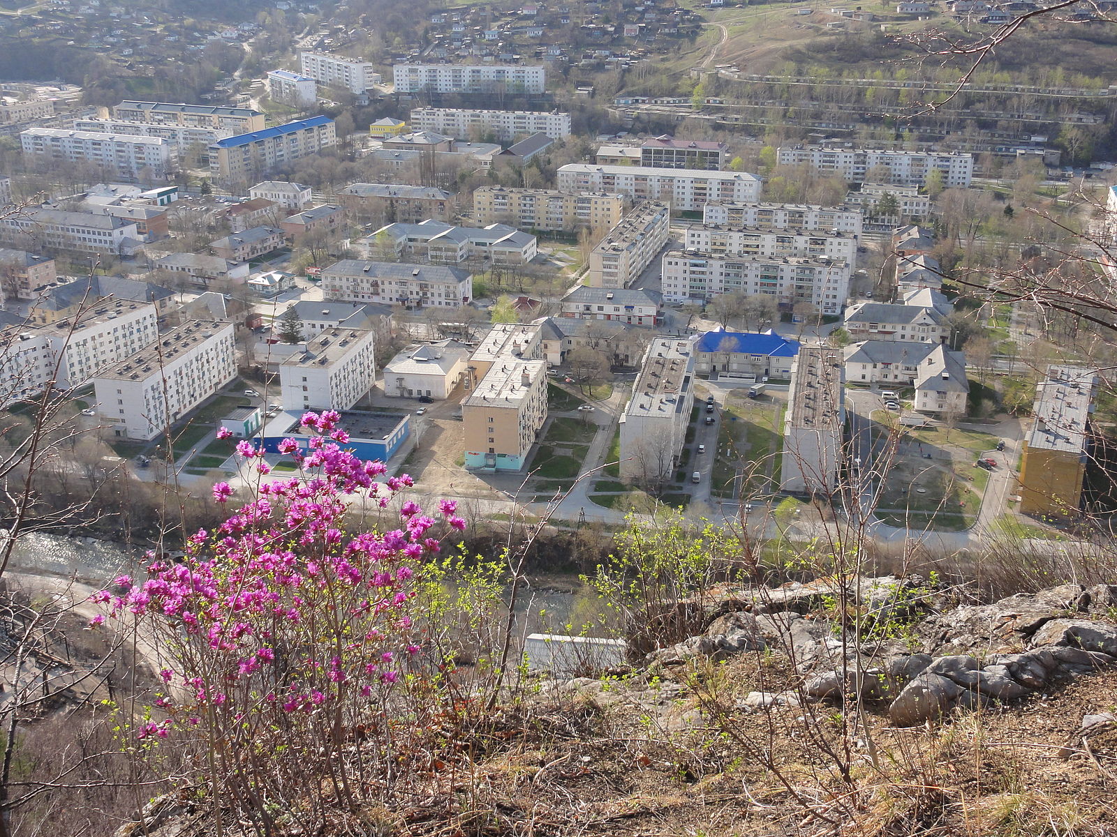 Дальнегорск фото города