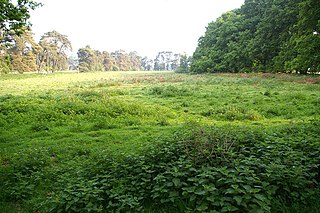 <span class="mw-page-title-main">Stanford Training Area SSSI</span> British Army training and nature conservation site