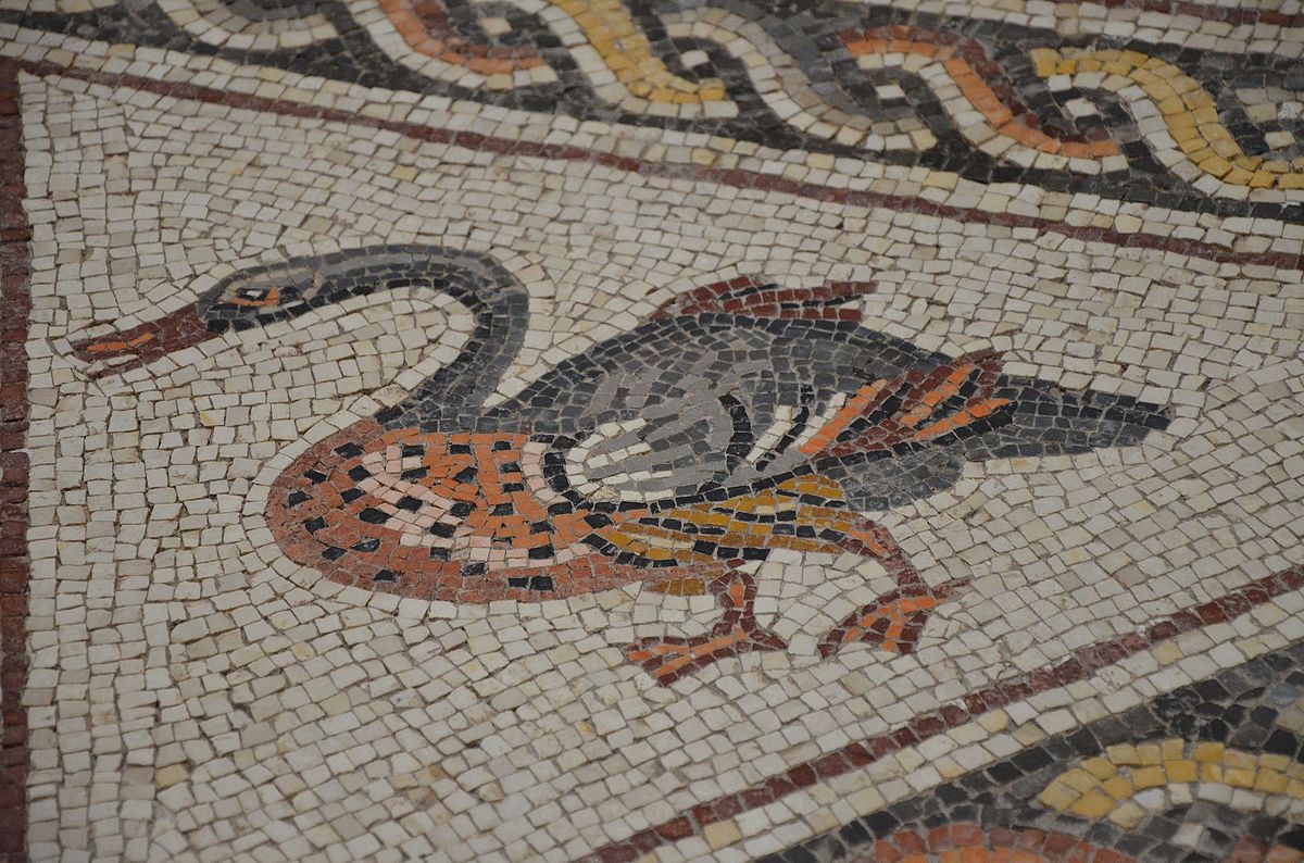 File:Detail of the Lod Mosaic, a dove, mosaic believed to belong to a large  and well-appointed Roman house and is dated to about A.D. 300, found in Lod,  Israel (13670962844).jpg - Wikimedia