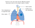 File:DIagram of the different types of soft tissue in the body CRUK 037.svg  - Wikimedia Commons