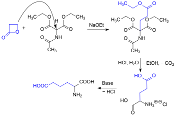 Synthese von rac-Glu