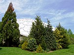 Dinosaur State Park (Rocky Hill, CT) - dome.JPG