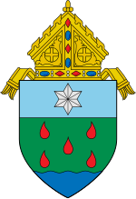 Diocese of Borongan Coat of arms corrected version.svg