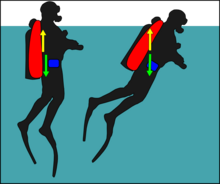 Diver with centre of buoyancy to the back will rotate forwards Diver with large wing stabilised at surface.png