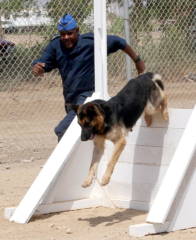 police obstacle training