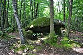 Hunebed van het Bois de la Lieue