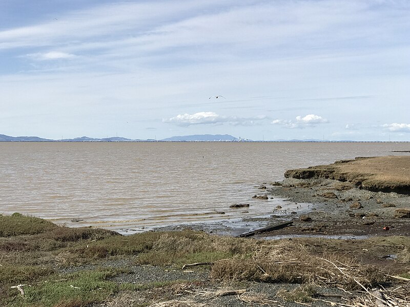 File:Don Edwards San Francisco Bay National Wildlife Refuge, Hayward, United States Feb 24, 2017 014520.jpeg