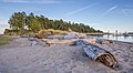 * Nomination Driftwood during dusk, Sidney Spit, Canada --Podzemnik 02:15, 12 June 2018 (UTC) * Promotion  Support Good quality. -- Johann Jaritz 02:48, 12 June 2018 (UTC)