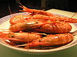 Half-cooked drunken shrimp