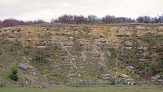 Forest Marble Formation Jurassic geological formation in England