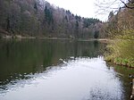 Egelsee (Aargau)