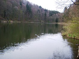 Egelsee bergdietikon 7.jpg