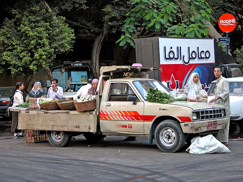 File:Egypt-12A-016 - Truck Sale.... (2217501312).jpg