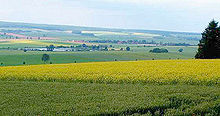 Blick auf die Südwestseite des Elms von Groß Vahlberg