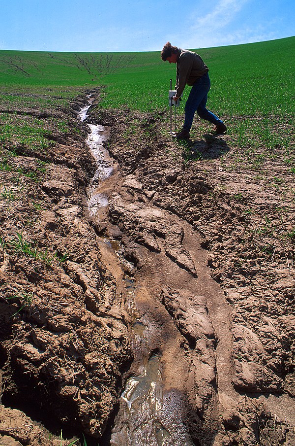 Soil erosion in a wheat field near Pullman, US