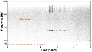 June 5: Blue Whale calls in the presence of mid-frequency active sonar.