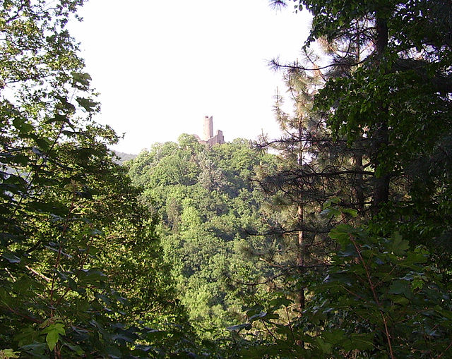 Der Exotenwald in Weinheim