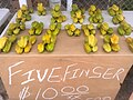 Five Fingers (Carambola)