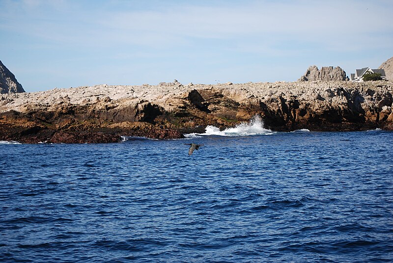 File:Farallon islands near San Francisco 05.jpg