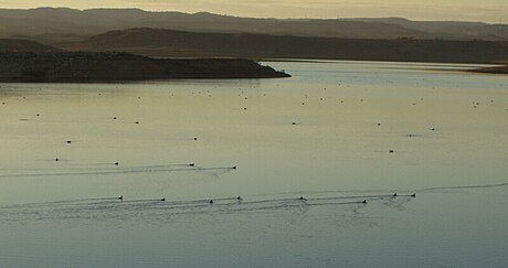 Embalse de Monteagudo