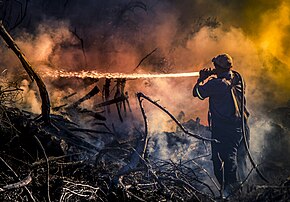 Un pompier combattant un feu de forêt près d'Aston Bay en Afrique du Sud, en mars 2017. (définition réelle 4 000 × 2 791)
