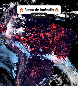 <span class="mw-page-title-main">2024 Brazil wildfires</span> 2024 wetland fires starting in the rainy season