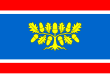 Vlag