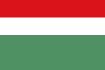 Flag of Paratebueno (Cundinamarca) .svg