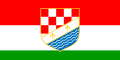 Flag of Posavina.svg