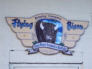 Flying Bison Brewing Company is a brewery in Buffalo