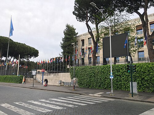 Food and Agriculture Organization (FAO) in Rome