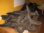 Zbiory archeologiczne – fragmenty wałów grodu bydgsokiego