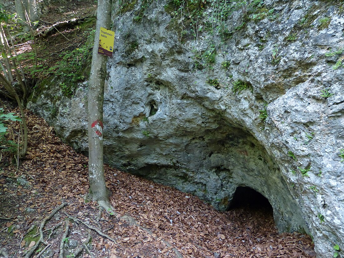 Freinberghöhle