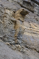 English: Limestone Quarry between Simmelsberg and Teufelsberg, Gersfeld, Hesse, Germany