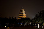 Minijatura za Velika pagoda divlje guske