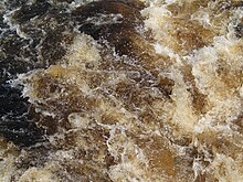 The weak tea coloured water of the Gordon River.