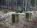 Sächsisch-Preußischer Grenzstein: Pilarpaar Nr. 66 sowie 17 Läufersteine