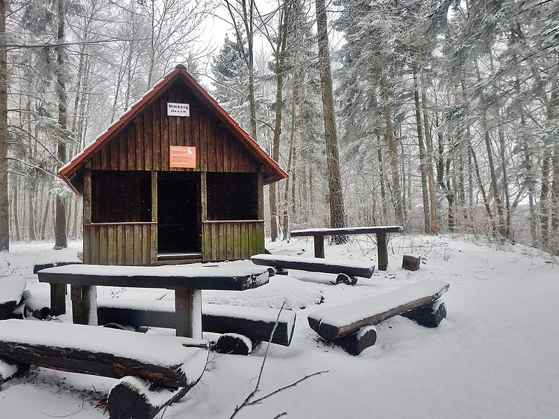 File:Grillplatz am Schwäbische-Alb-Nordrand-Weg HW1 bei der Himberg Hütte 854 m. ü. NN - panoramio.jpg