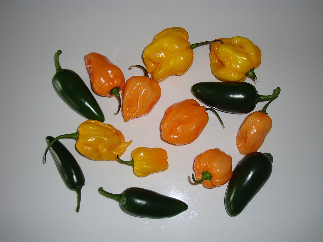 File:Habanero's + Jalapeño's.JPG