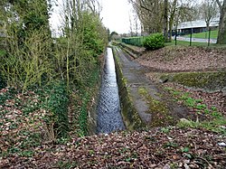 la Becque de Neuville, Halluin.