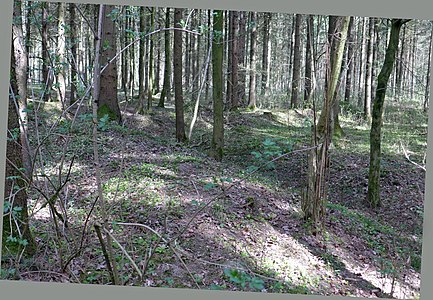 Vorwallbogen im Südosten (trockengefallen)