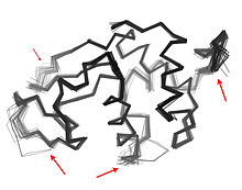 An "ensemble" of 44 crystal structures of hen egg white lysozyme from the Protein Data Bank, showing that different crystallization conditions lead to different conformations for various surface-exposed loops and termini (red arrows). Hen egg white lysozyme PDB ensemble.jpg