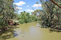 English: Lachlan River at Hillston, New South Wales