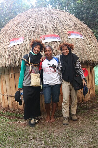 File:Honai Rumah Adat Papua.jpg